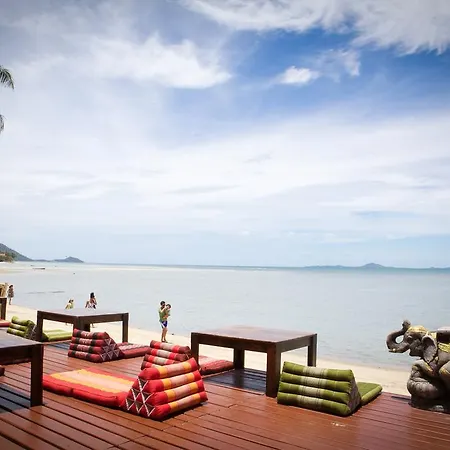 The Blue Parrot Hotel